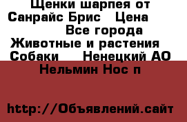 Щенки шарпея от Санрайс Брис › Цена ­ 30 000 - Все города Животные и растения » Собаки   . Ненецкий АО,Нельмин Нос п.